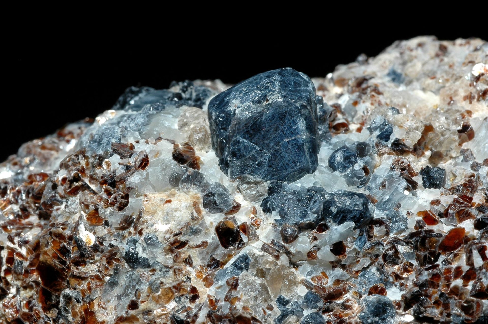 Sapphirine Madagascar scaled